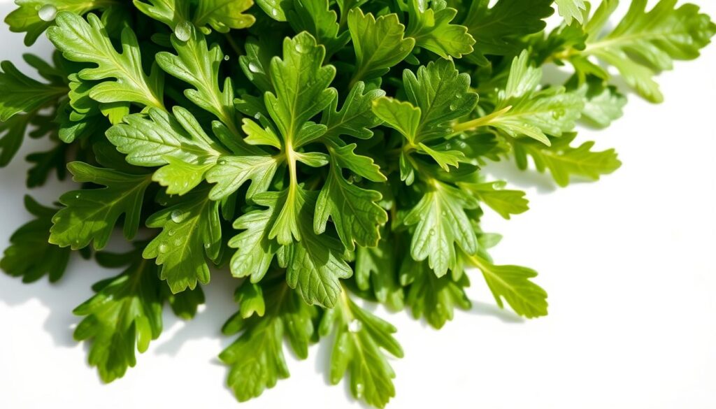 wartości odżywcze rukoli